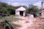 Tamilnadu - Annamangalam- 248.jpg (109663 bytes)