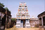 Tamilnadu - Deepangudi 574.jpg (165504 bytes)