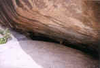 Tamilnadu Thirumalai caves  010.jpg (53385 bytes)